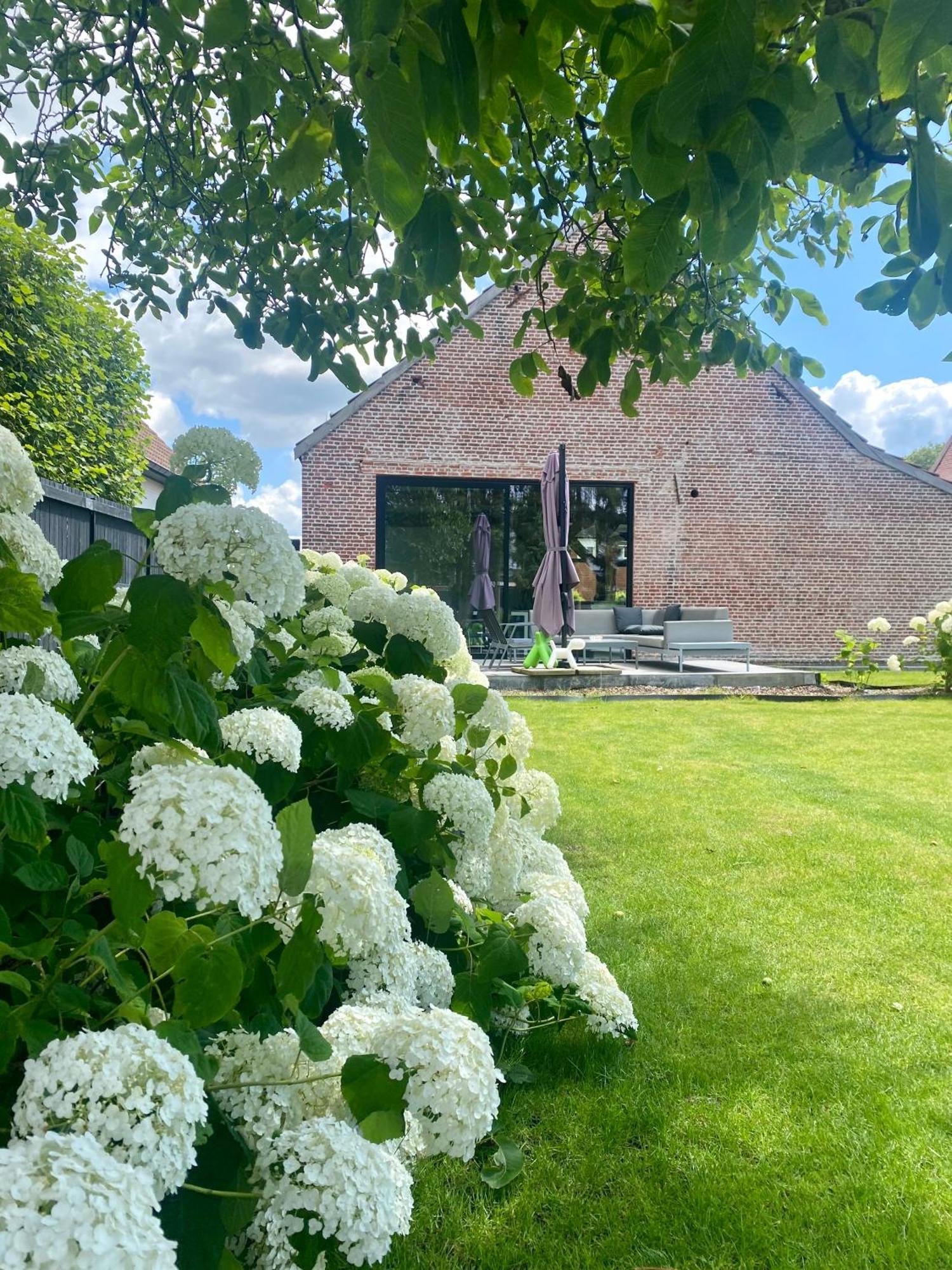 Hoeve De Kleinheide Dessel Kültér fotó