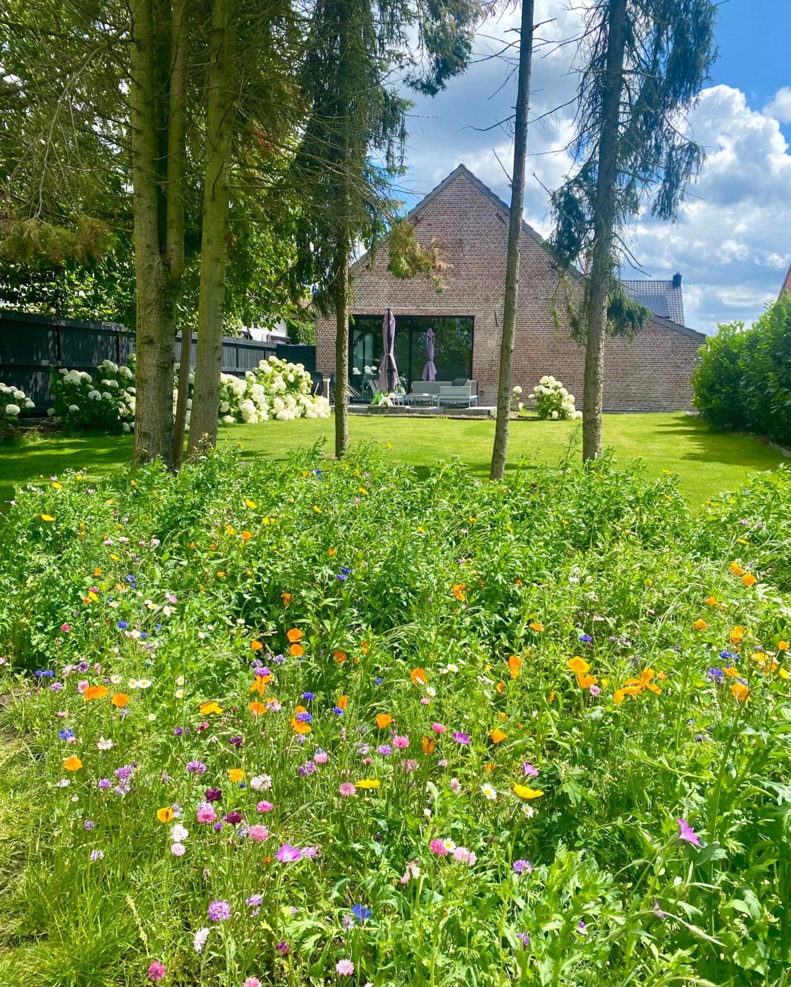 Hoeve De Kleinheide Dessel Kültér fotó