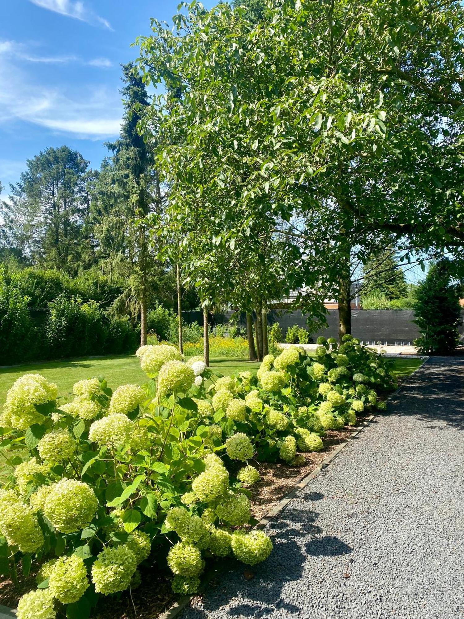 Hoeve De Kleinheide Dessel Kültér fotó